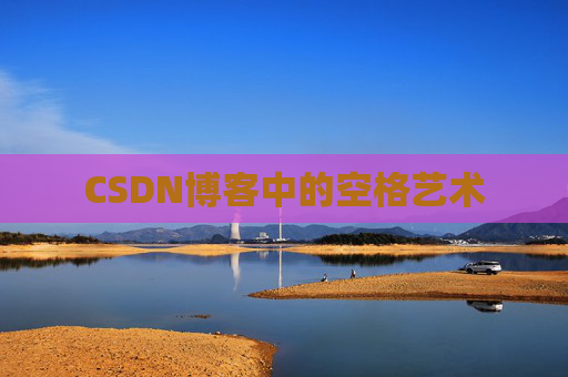 CSDN博客中的空格艺术